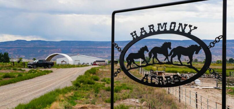 A path to healing starts at Harmony Acres.